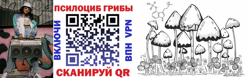 Купить Бологое Псилоцибиновые грибы Cubensis